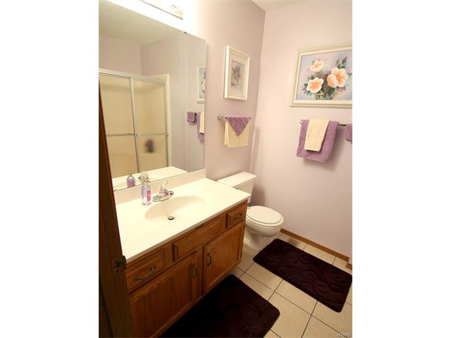 579 Oaktree Crossing Ct, Ballwin, MO 63021 photo 11