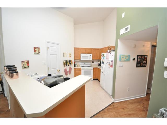 1626 Forest Springs Ln #D, Ballwin, MO 63021 photo 7