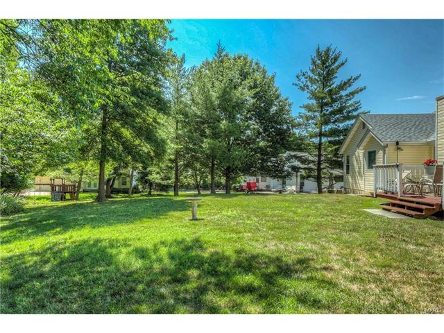 16505 Thunderhead Canyon Ct, Ballwin, MO 63011 photo 19