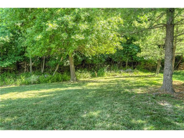 16505 Thunderhead Canyon Ct, Ballwin, MO 63011 photo 20