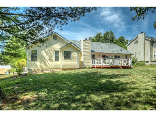 16505 Thunderhead Canyon Ct, Ballwin, MO 63011 photo 18