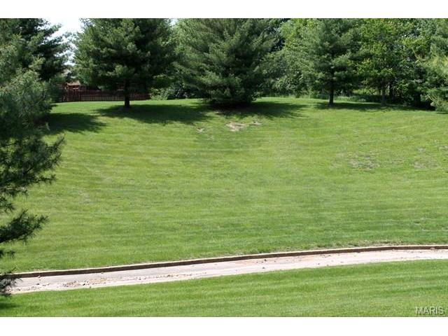 129 Arabian Path, Saint Peters, MO 63376 photo 37