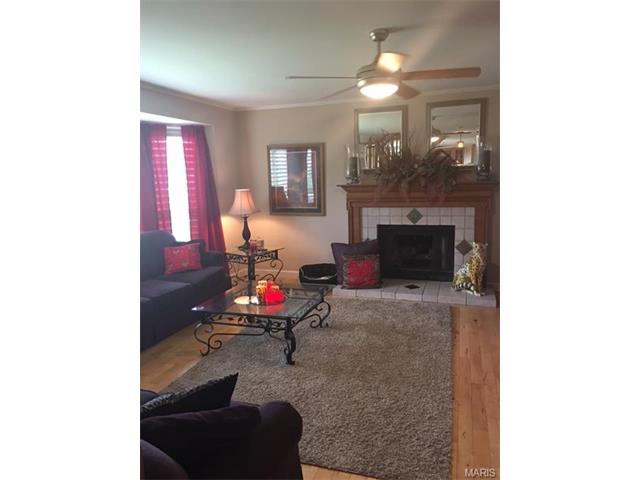 2 Fair Count Ct, O'fallon, MO 63368 photo 10