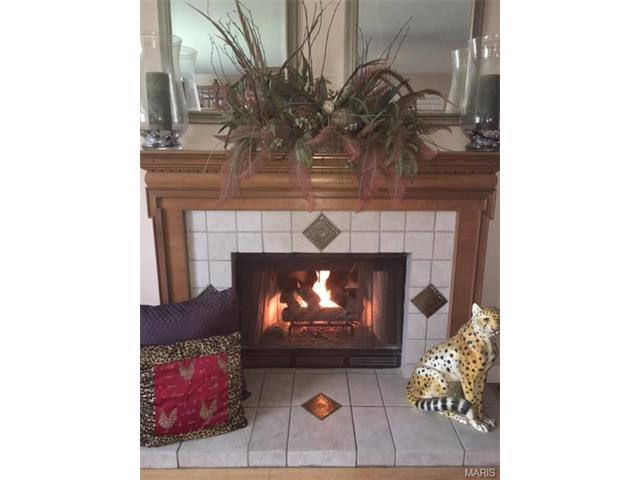 2 Fair Count Ct, O'fallon, MO 63368 photo 8