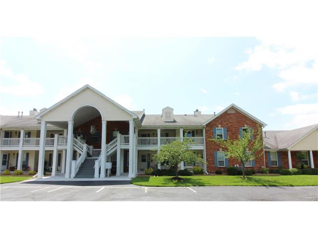 314 Waterside Dr, Grover, MO 63040 photo 1