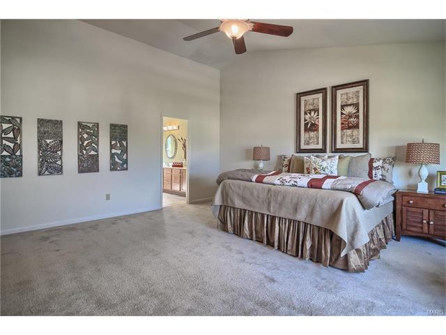 32 Eliot Ct, O'fallon, MO 63366 photo 23