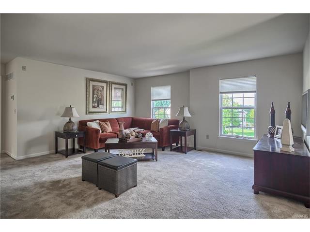 32 Eliot Ct, O'fallon, MO 63366 photo 20