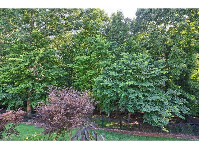32 Eliot Ct, O'fallon, MO 63366 photo 37