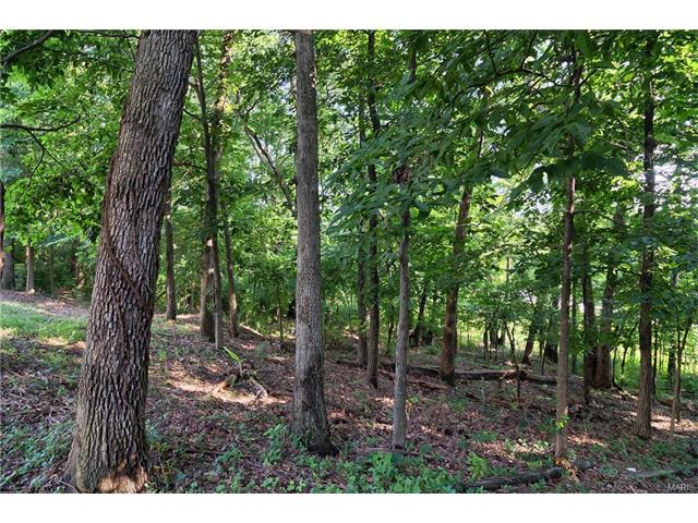 32 Eliot Ct, O'fallon, MO 63366 photo 41