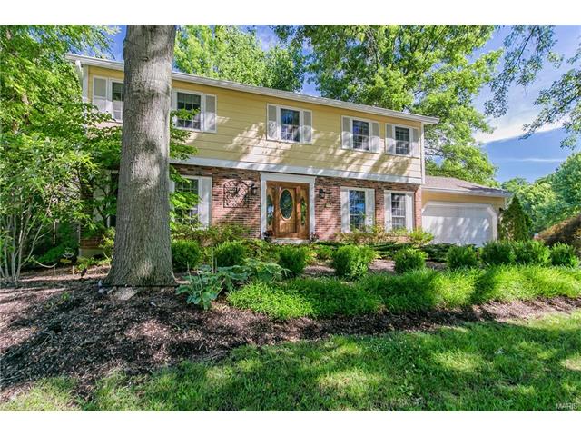 15517 Chequer Dr, Chesterfield, MO 63017 photo 1