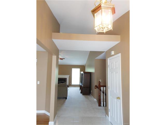 1024 Turtle Creek Dr, O'fallon, MO 63366 photo 48