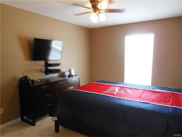 1024 Turtle Creek Dr, O'fallon, MO 63366 photo 66