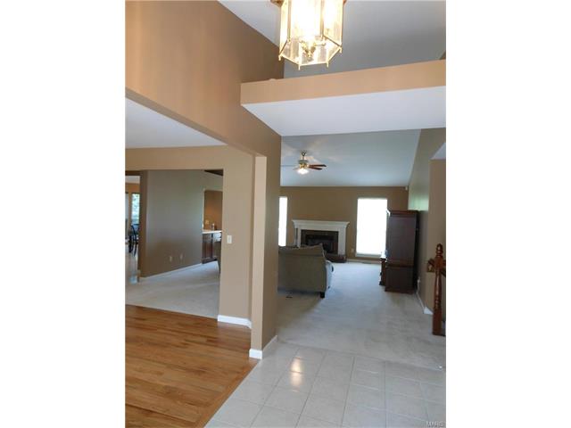 1024 Turtle Creek Dr, O'fallon, MO 63366 photo 46