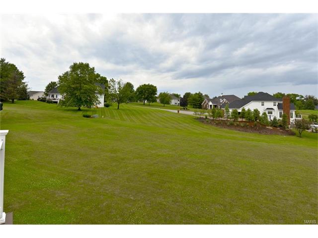 34 Rathfarnum Ln, Weldon Spring, MO 63304 photo 53