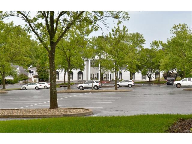 34 Rathfarnum Ln, Weldon Spring, MO 63304 photo 68