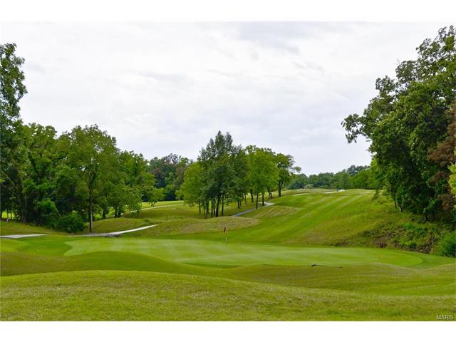 34 Rathfarnum Ln, Weldon Spring, MO 63304 photo 72