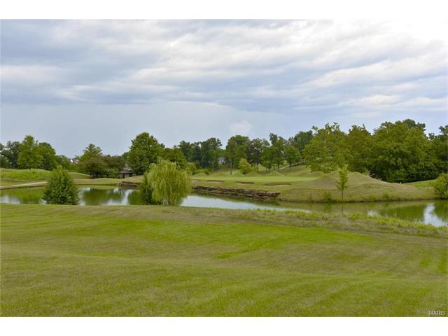 34 Rathfarnum Ln, Weldon Spring, MO 63304 photo 58