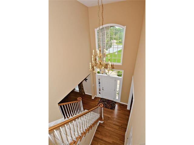 34 Rathfarnum Ln, Weldon Spring, MO 63304 photo 31