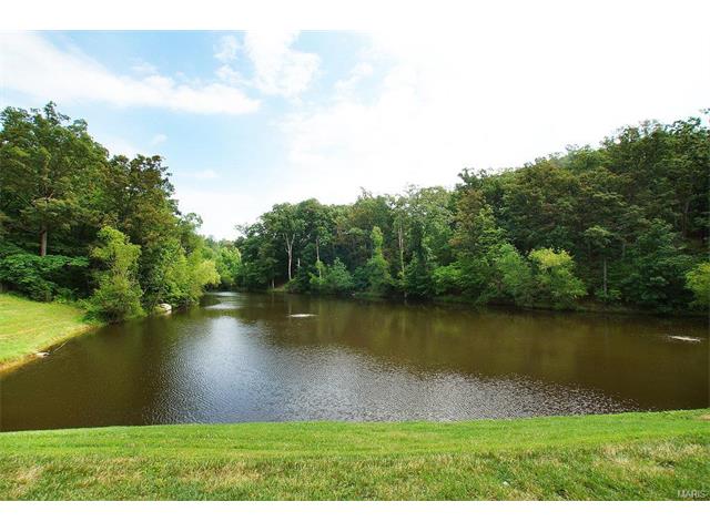833 Castle Pines Dr, Ballwin, MO 63021 photo 48