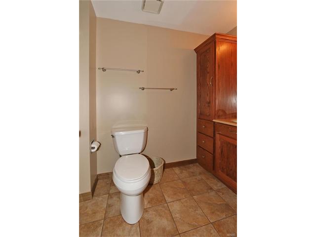 310 Bristol Pl, O'fallon, MO 63366 photo 15