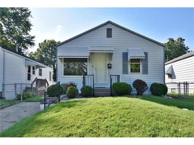 7133 Sharp Ave, Saint Louis, MO 63116 photo 1