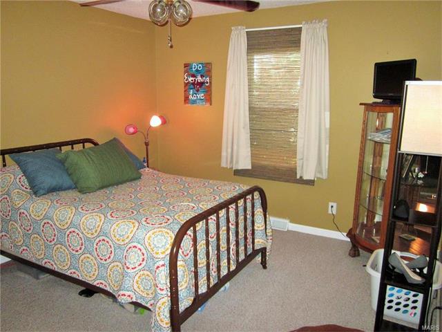 276 Lower St, Augusta, MO 63332 photo 16