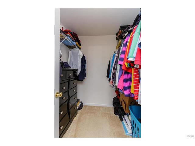 426 Spring Trce, O'fallon, MO 63368 photo 21