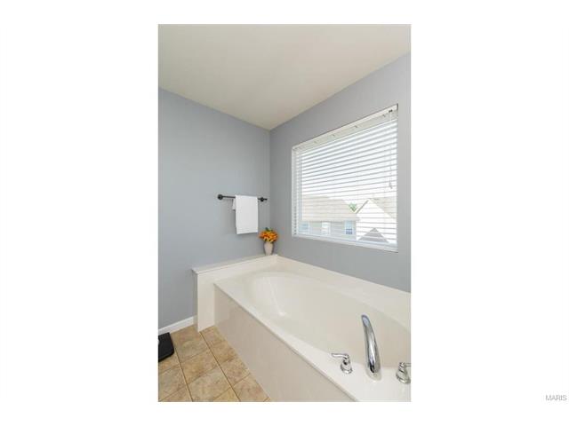 426 Spring Trce, O'fallon, MO 63368 photo 19