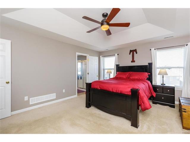 426 Spring Trce, O'fallon, MO 63368 photo 17