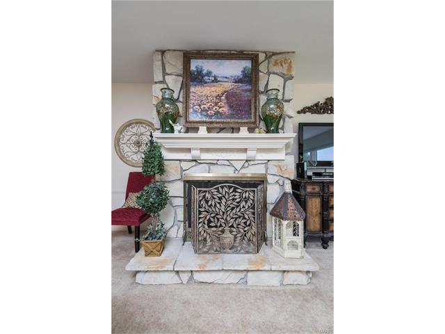 6 Lochhaven Ln, Ballwin, MO 63021 photo 39