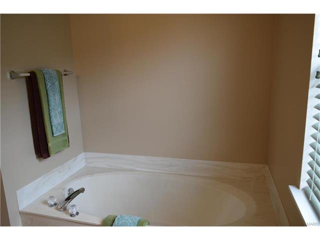 577 Misty Mtn, O'fallon, MO 63368 photo 29
