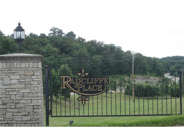 17533 Radcliffe Place Dr, Eureka, MO 63025 photo 2