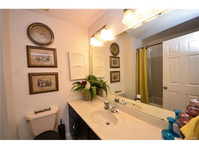 6421 Long Timber Dr, O'fallon, MO 63368 photo 17