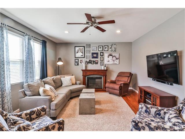 853 Ashton Way, Eureka, MO 63025 photo 8