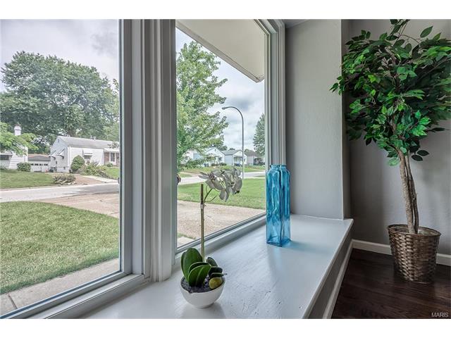 7148 Sharp Ave, Saint Louis, MO 63116 photo 6