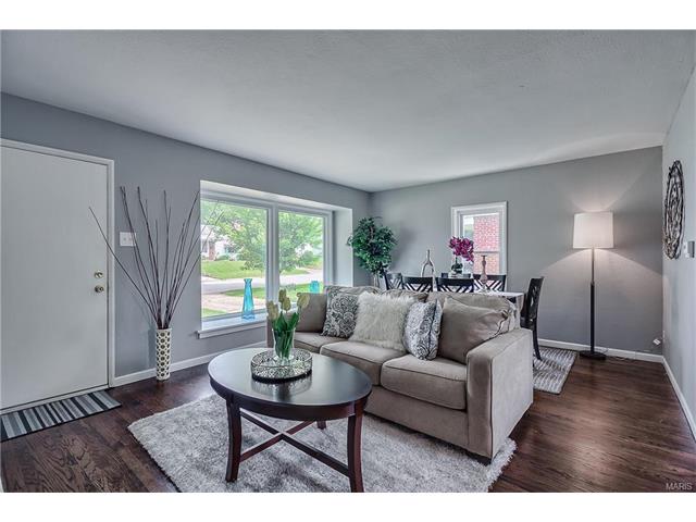 7148 Sharp Ave, Saint Louis, MO 63116 photo 4