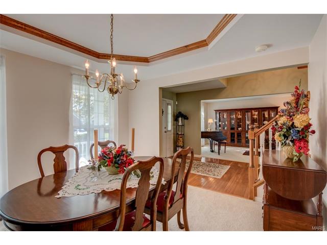 1203 Summer Lynne Dr, O'fallon, MO 63366 photo 14