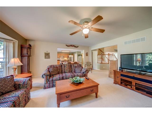 1203 Summer Lynne Dr, O'fallon, MO 63366 photo 10
