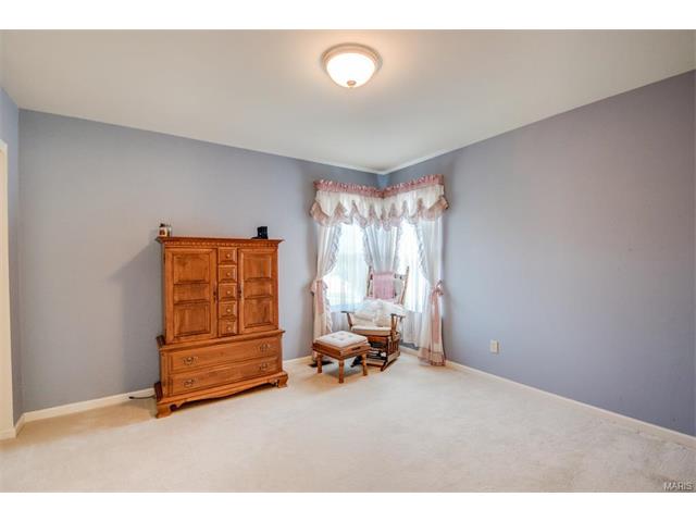 1203 Summer Lynne Dr, O'fallon, MO 63366 photo 25