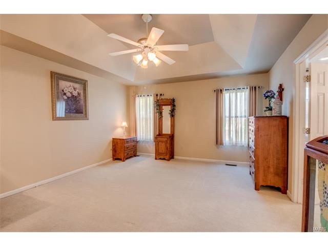 1203 Summer Lynne Dr, O'fallon, MO 63366 photo 18