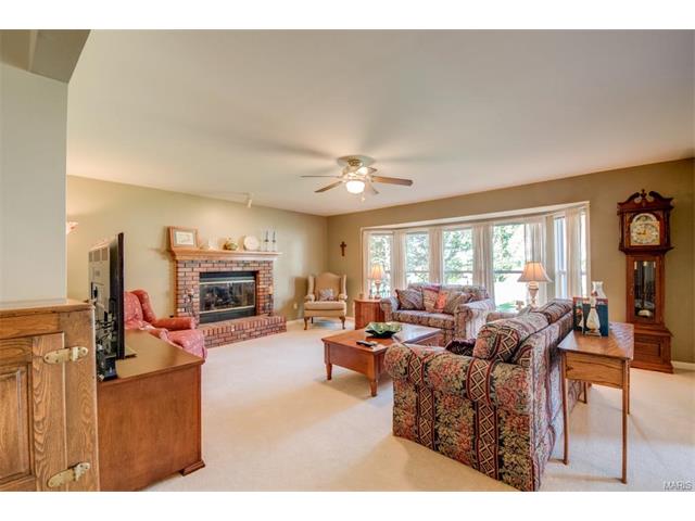 1203 Summer Lynne Dr, O'fallon, MO 63366 photo 8