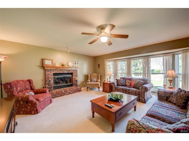 1203 Summer Lynne Dr, O'fallon, MO 63366 photo 9