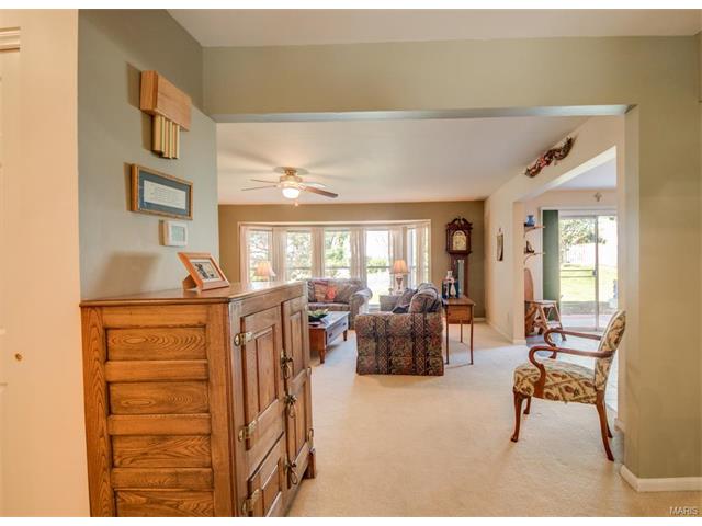 1203 Summer Lynne Dr, O'fallon, MO 63366 photo 12
