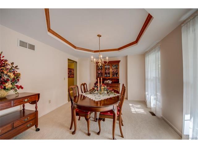 1203 Summer Lynne Dr, O'fallon, MO 63366 photo 13