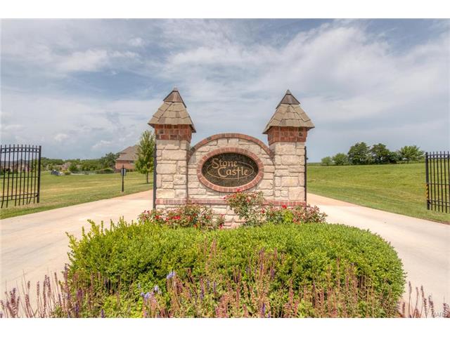 810 Stonecastle Ct, O'fallon, MO 63366 photo 3