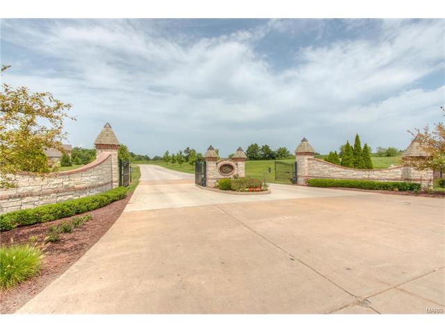 810 Stonecastle Ct, O'fallon, MO 63366 photo 2