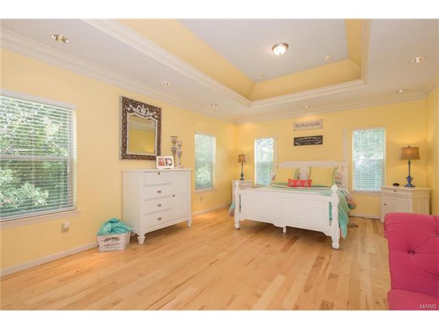 810 Stonecastle Ct, O'fallon, MO 63366 photo 32