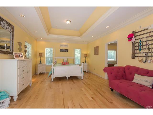 810 Stonecastle Ct, O'fallon, MO 63366 photo 30