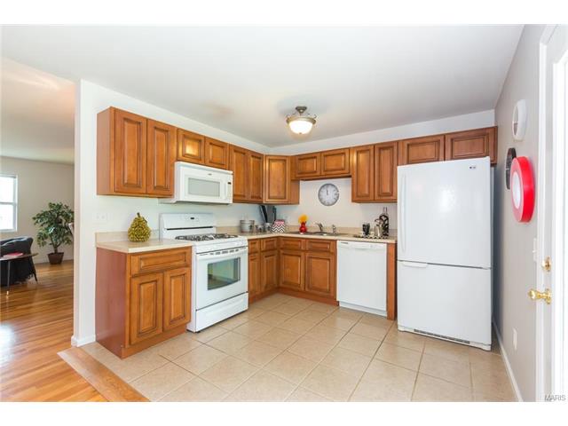 807 Gaillard Ct, Ballwin, MO 63011 photo 10