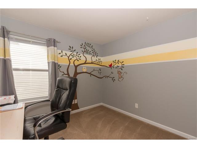 222 Spring Borough, O'fallon, MO 63368 photo 9